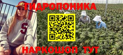 альфа пвп Бердск