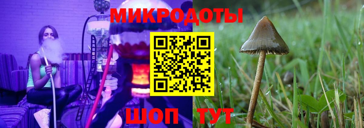 Асино  Псилоцибиновые грибы мицелий  Вход с VPN 