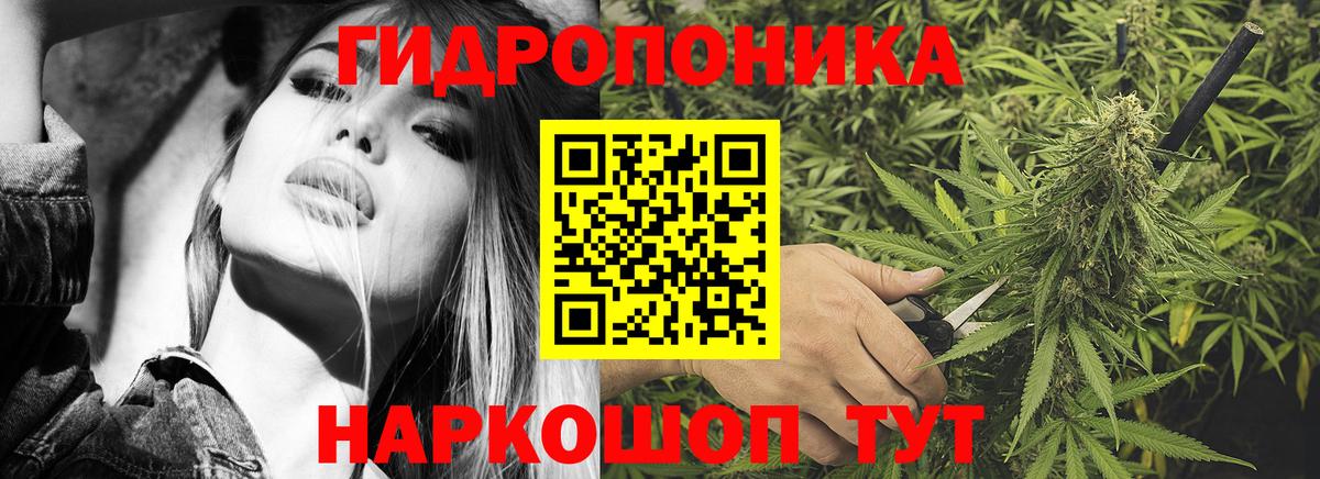 МАРИХУАНА гибрид  Бошки марихуана OG Kush  Асино  Вход с VPN  Бошки Шишки планчик 